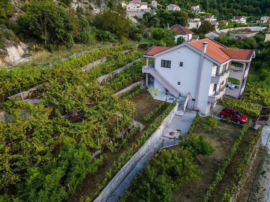 Villa Pavle'S Oasis Virpazar Exterior foto